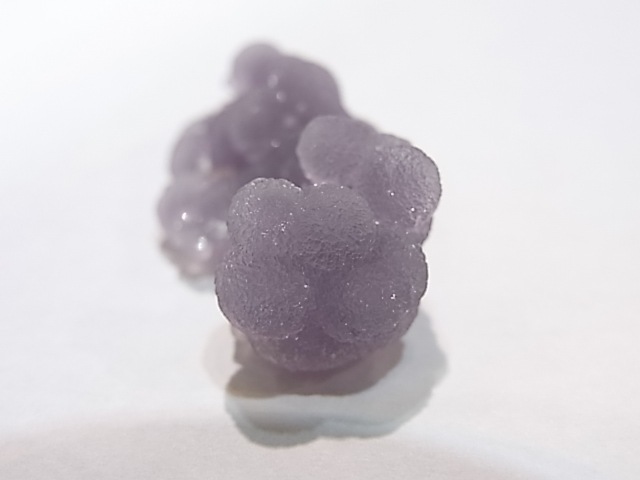 GA00060K���ѡ��ץ륫�륻�ɥˡ�������