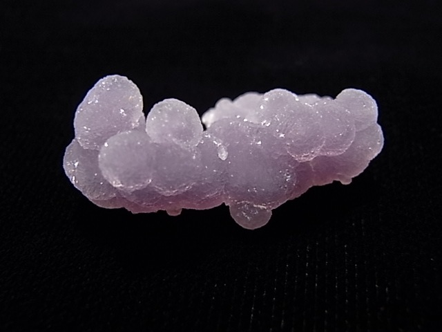 GA00060K���ѡ��ץ륫�륻�ɥˡ�������