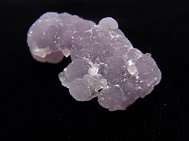 GA00060K���ѡ��ץ륫�륻�ɥˡ�������