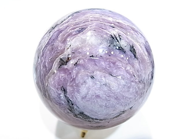 CA00074K������������ȡ������������٥ꥢ�����ݶ�