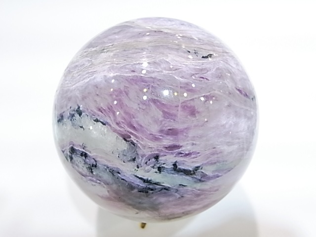 CA00074K������������ȡ������������٥ꥢ�����ݶ�