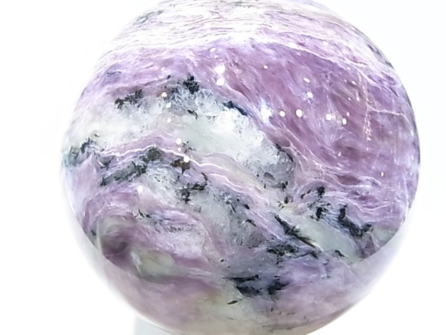 CA00074K������������ȡ������������٥ꥢ�����ݶ�