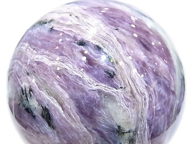 CA00074K������������ȡ������������٥ꥢ�����ݶ�