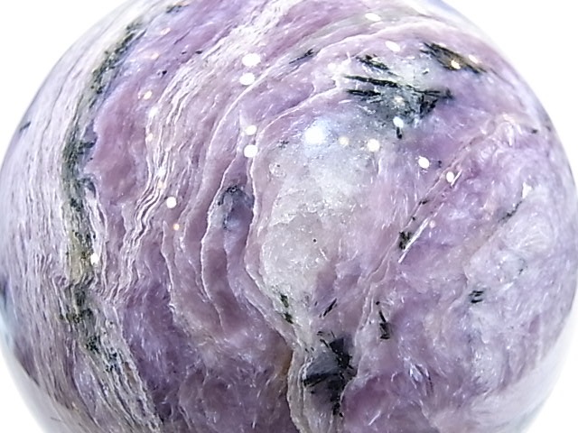 CA00074K������������ȡ������������٥ꥢ�����ݶ�