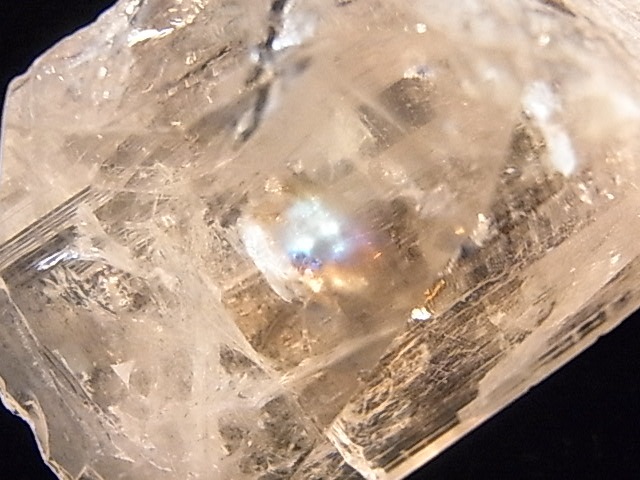 GA00090F����������ۥ���ӥ�饤�� ����