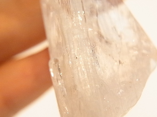 GA00090F����������ۥ���ӥ�饤�� ����