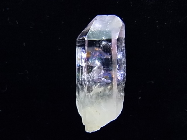 GAJ0007F ʥߥӥ᥸ȡСʥʥߥӥ