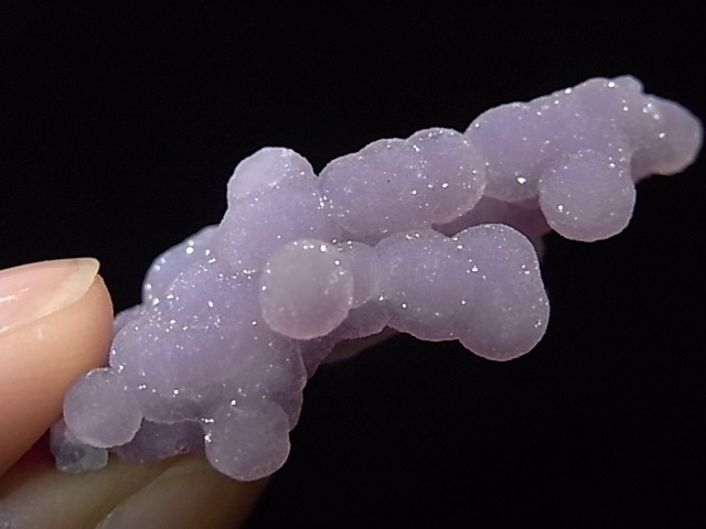 GA00061K���ѡ��ץ륫�륻�ɥˡ�������