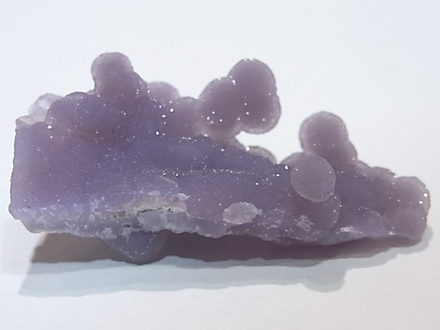 GA00061K���ѡ��ץ륫�륻�ɥˡ�������