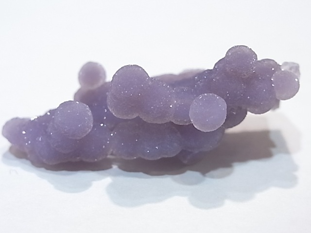 GA00061K���ѡ��ץ륫�륻�ɥˡ�������