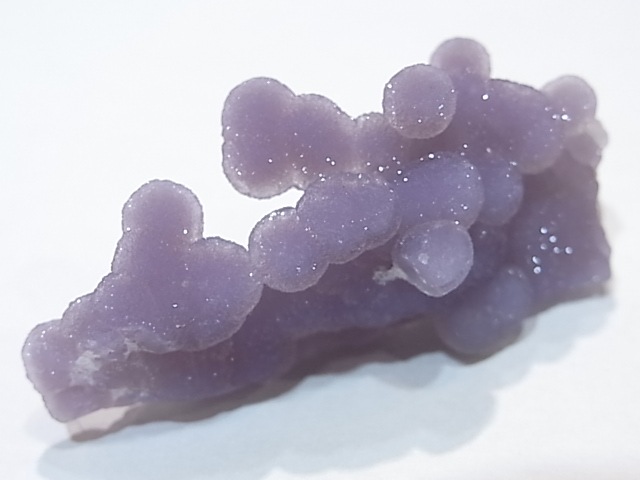 GA00061K���ѡ��ץ륫�륻�ɥˡ�������