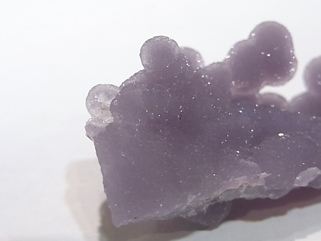 GA00061K���ѡ��ץ륫�륻�ɥˡ�������