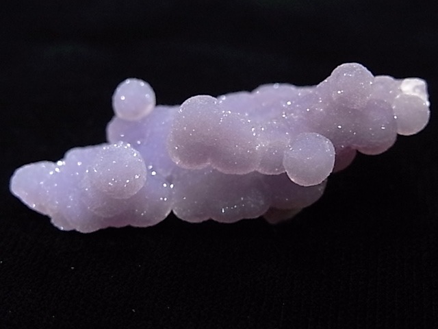 GA00061K���ѡ��ץ륫�륻�ɥˡ�������