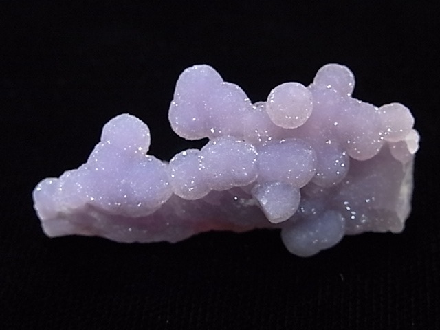 GA00061K���ѡ��ץ륫�륻�ɥˡ�������