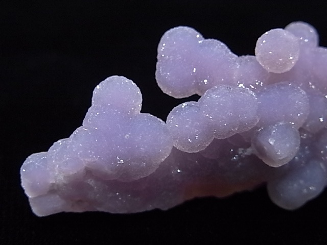 GA00061K���ѡ��ץ륫�륻�ɥˡ�������