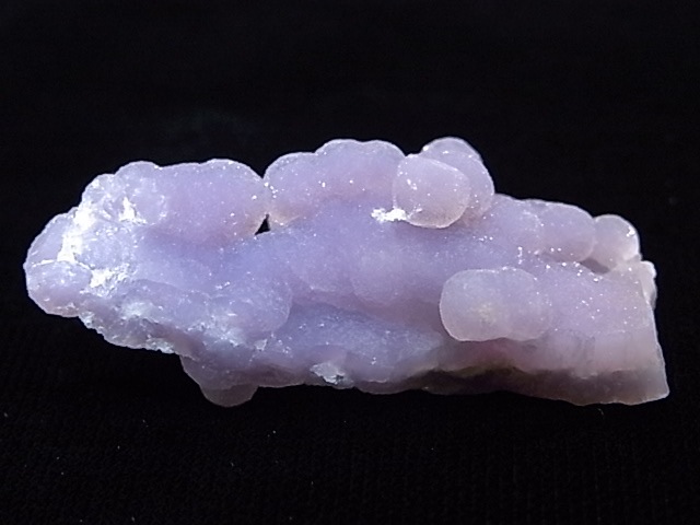 GA00061K���ѡ��ץ륫�륻�ɥˡ�������