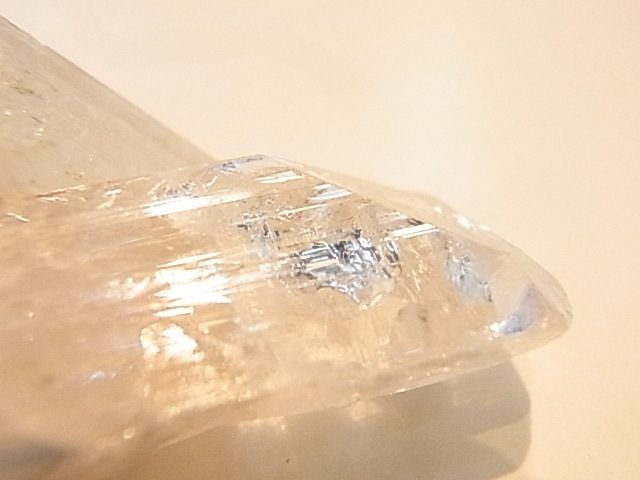 GA00091F����������ۥ���ӥ�饤�� ����