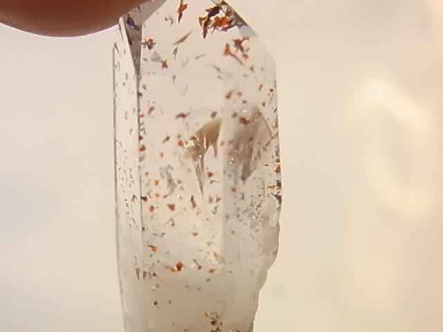 GAJ0008F���ʥߥӥ����᥸���ȡ����Сʥʥߥӥ�����