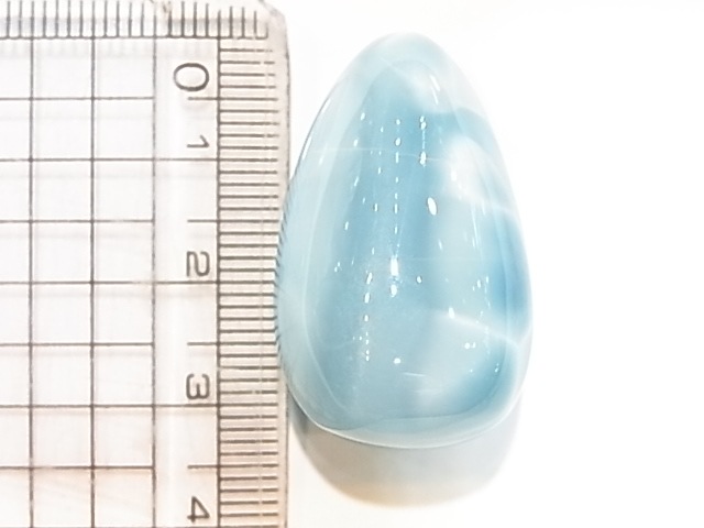 �ڥ������оݳ��ۡ�NSG00011�����ʼ����ޡ����롼���ڥͥåȥ���å׸��꾦�ʡ�