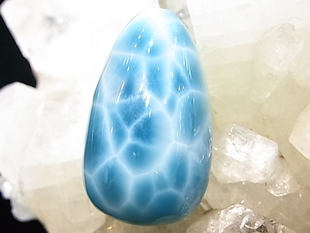 �ڥ������оݳ��ۡ�NSG00011�����ʼ����ޡ����롼���ڥͥåȥ���å׸��꾦�ʡ�