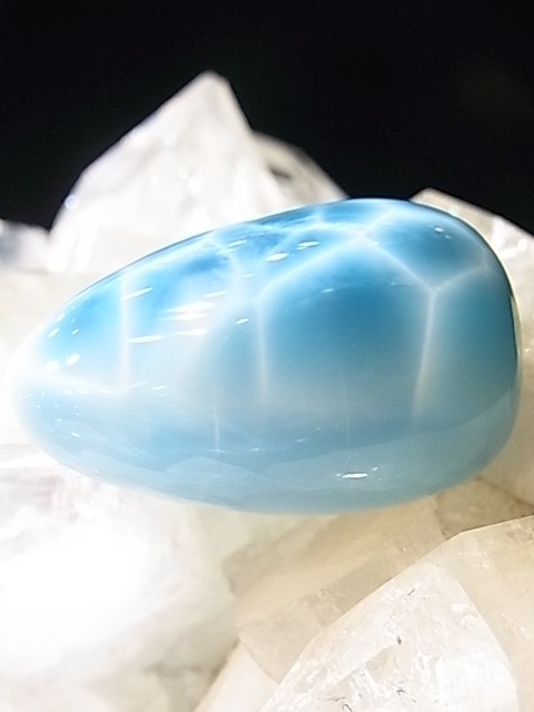 �ڥ������оݳ��ۡ�NSG00011�����ʼ����ޡ����롼���ڥͥåȥ���å׸��꾦�ʡ�