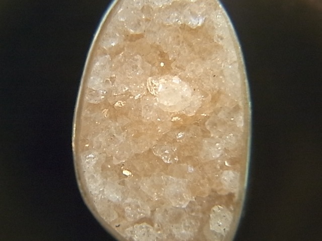 PA00081F�����ݥե��饤�� �ɥ��롼���� ���륻�ɥˡ� �ڥ����ȥȥå�