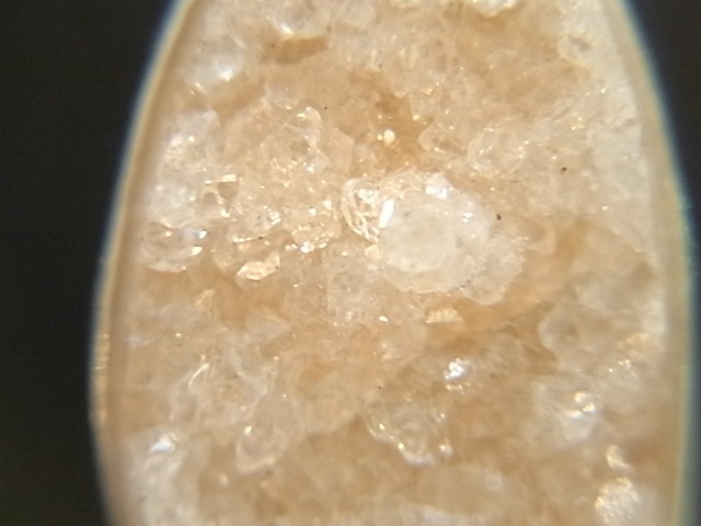 PA00081F�����ݥե��饤�� �ɥ��롼���� ���륻�ɥˡ� �ڥ����ȥȥå�