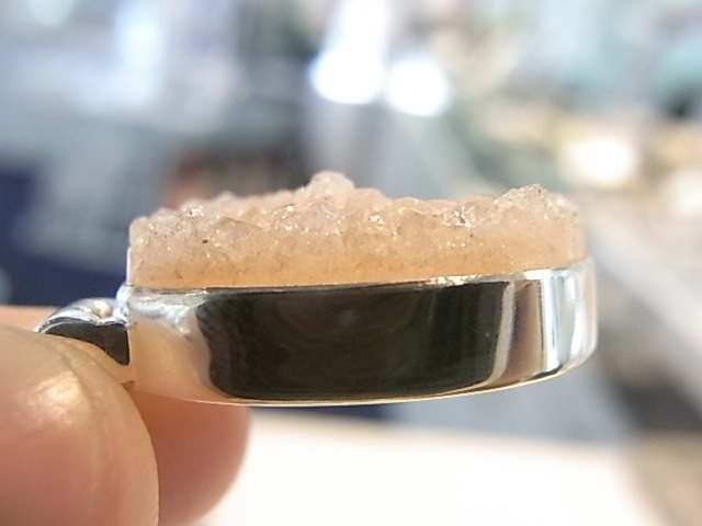 PA00081F�����ݥե��饤�� �ɥ��롼���� ���륻�ɥˡ� �ڥ����ȥȥå�