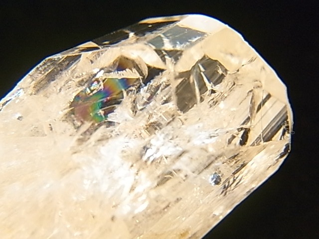 GA00092F����������ۥ���ӥ�饤�� ����