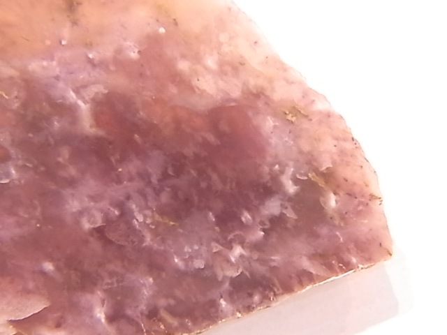 GA00037F���ڴ����С� Rhodingite �����ǥ��󥬥��ȡ��ݥ�å�����᤭�˥����ե�����