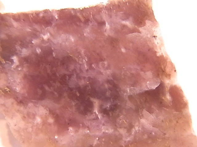 GA00037F���ڴ����С� Rhodingite �����ǥ��󥬥��ȡ��ݥ�å�����᤭�˥����ե�����