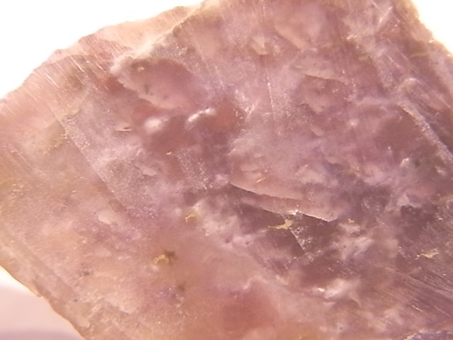 GA00037F���ڴ����С� Rhodingite �����ǥ��󥬥��ȡ��ݥ�å�����᤭�˥����ե�����