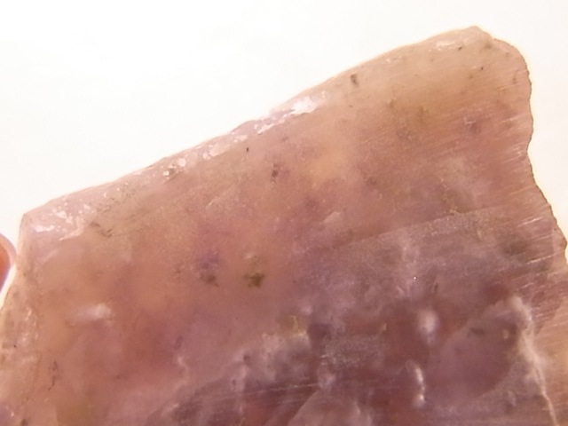 GA00037F���ڴ����С� Rhodingite �����ǥ��󥬥��ȡ��ݥ�å�����᤭�˥����ե�����