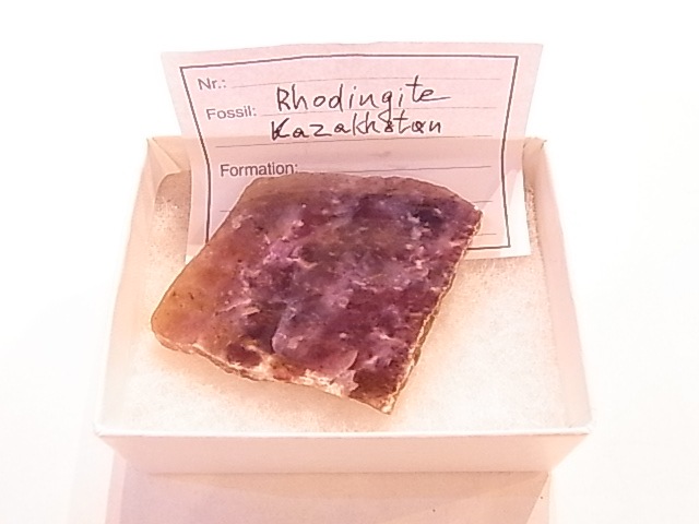 GA00037F���ڴ����С� Rhodingite �����ǥ��󥬥��ȡ��ݥ�å�����᤭�˥����ե�����