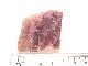 GA00037F���ڴ����С� Rhodingite �����ǥ��󥬥��ȡ��ݥ�å�����᤭�˥����ե�����