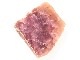 GA00037F���ڴ����С� Rhodingite �����ǥ��󥬥��ȡ��ݥ�å�����᤭�˥����ե�����