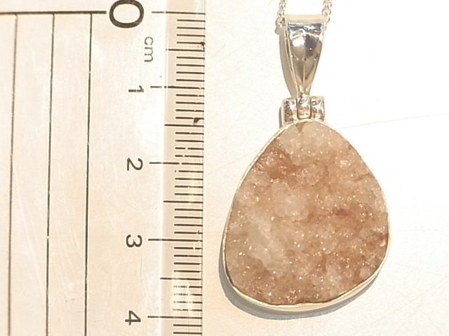 PA00082F�����ݥե��饤�� �ɥ��롼���� ���륻�ɥˡ� �ڥ����ȥȥå�