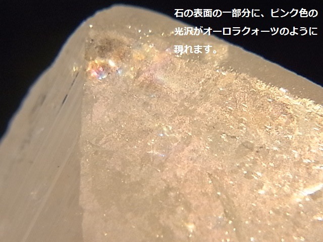GA00093F����������ۥ���ӥ�饤�� ����