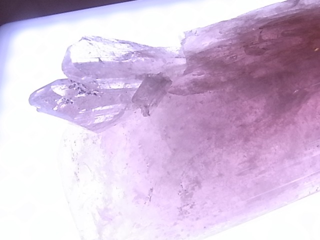 GA00093F����������ۥ���ӥ�饤�� ����