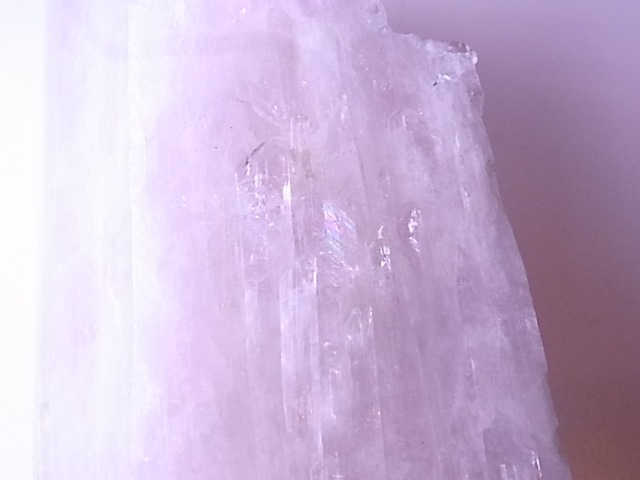 GA00093F����������ۥ���ӥ�饤�� ����