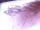 GA00093F����������ۥ���ӥ�饤�� ����