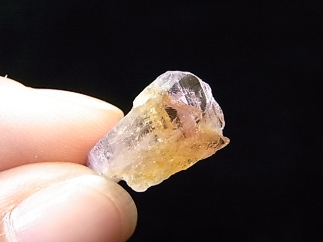 AR00010F���������ʥ��ȡ��������С����󥶥˥���