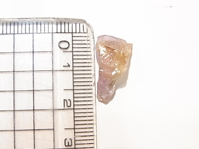 AR00010F���������ʥ��ȡ��������С����󥶥˥���