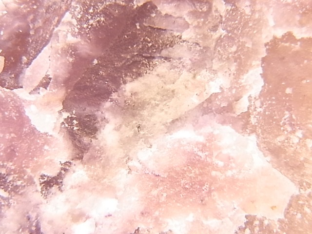 GA00038F���ڴ����С� �����ǥ��󥬥��ȡ��ݥ�å�����᤭��