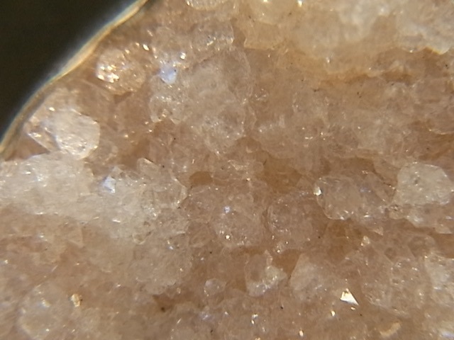 PA00083Fݥե饤 ɥ롼 륻ɥˡ ڥȥȥå