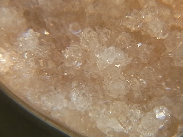 PA00083Fݥե饤 ɥ롼 륻ɥˡ ڥȥȥå