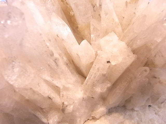 �ڥ������оݳ��ۡ�GA00094F������ӥ�饤�� ���饹�����ʸ��С�