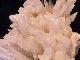 �ڥ������оݳ��ۡ�GA00094F������ӥ�饤�� ���饹�����ʸ��С�