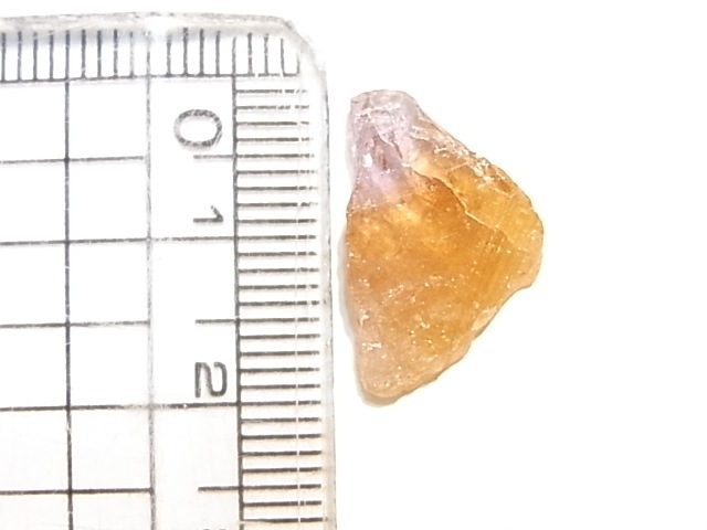 AR00011F���������ʥ��ȡ��������С����󥶥˥���