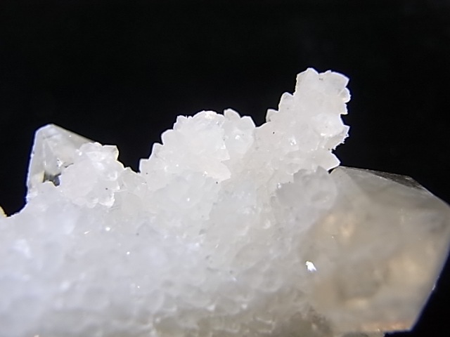 GA00078K�����ݥե��饤�ȡ��ݥ����